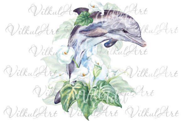 Cute Floral Png Dolphin Watercolor Sea Graphics & Illustrations