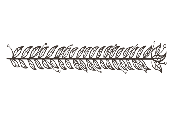 Floral Ornament Line. Botanical Branch D Graphics & Illustrations Review
