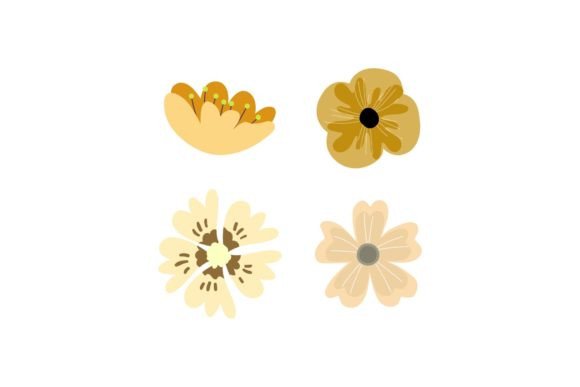 Flower Floral Graphics and Illustrations for Modern Publishing