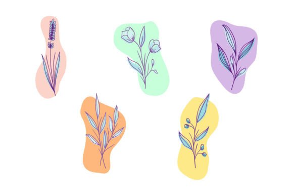 Line Art Collection with Floral Elements Review
